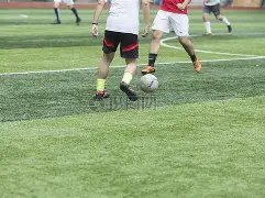 乐鱼体育,资讯,LeYu,乐鱼体育,LeYu,Sports,乐鱼体育官网,乐鱼体育官网,乐鱼体育下载