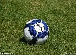 青岛海牛俱,乐部重磅宣,外援巨星萨,乐鱼体育,LeYu,Sports,乐鱼体育官网,乐鱼体育官网,乐鱼体育下载