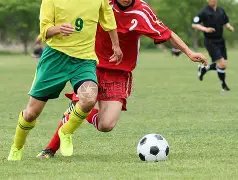 乐鱼体育,资讯,LeYu,乐鱼体育,LeYu,Sports,乐鱼体育官网,乐鱼体育官网,乐鱼体育下载