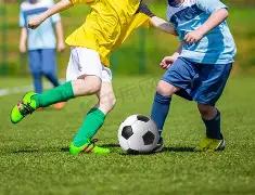 独家揭秘,利物浦高层,密谋,乐鱼体育,LeYu,Sports,乐鱼体育官网,乐鱼体育官网,乐鱼体育下载