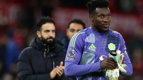 乐鱼体育 资讯 174443 lm5