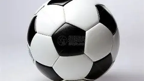 乐鱼体育 资讯 174434 6d1