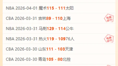 网球学院：成长印记与培育之路